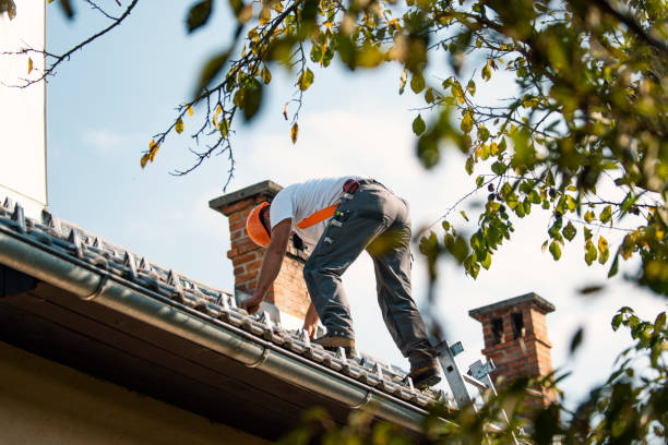 Gutter Installation and Roofing in Inver Grove Heights, MN
